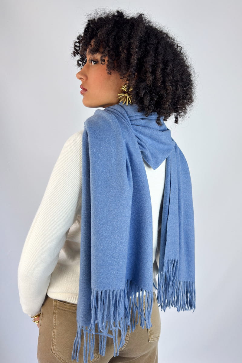 clementine 303 H25 1